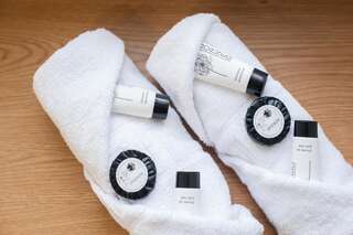 Отель Dangė Hotel Клайпеда Двухместный номер эконом-класса с 1 кроватью или 2 отдельными кроватями-4