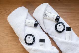 Отель Dangė Hotel Клайпеда Двухместный номер эконом-класса с 1 кроватью или 2 отдельными кроватями-11